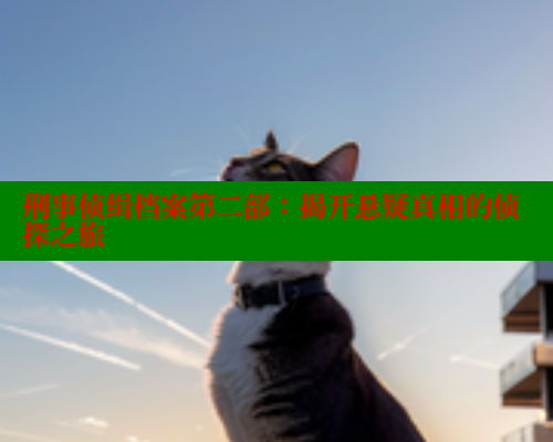 刑事侦缉档案第二部:揭开悬疑真相的侦探之旅 春水堂官方网站 第1张 刑事侦缉档案第二部:揭开悬疑真相的侦探之旅 春水堂官方网站 第1张