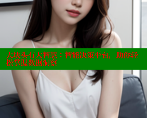 大块头有大智慧:智能决策平台,助你轻松掌握数据洞察 成人春水堂 第2张 大块头有大智慧:智能决策平台,助你轻松掌握数据洞察 成人春水堂 第2张