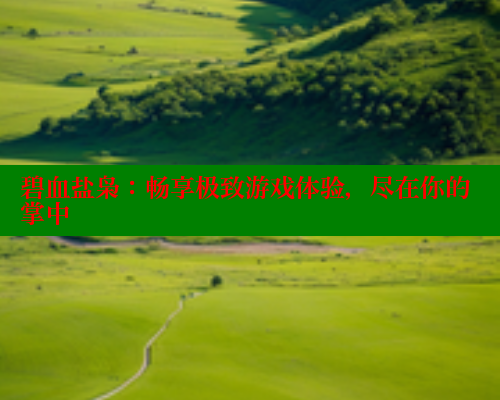碧血盐枭：畅享极致游戏体验，尽在你的掌中