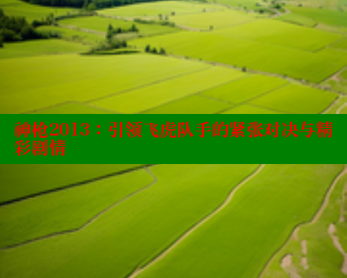 神枪2013:引领飞虎队手的紧张对决与精彩剧情 成人春水堂 第1张 神枪2013:引领飞虎队手的紧张对决与精彩剧情 成人春水堂 第1张