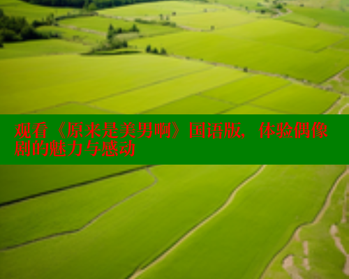 观看《原来是美男啊》国语版,体验偶像剧的魅力与感动 春水堂 第1张 观看《原来是美男啊》国语版,体验偶像剧的魅力与感动 春水堂 第1张