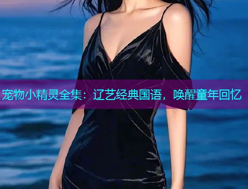 宠物小精灵全集:辽艺经典国语,唤醒童年回忆